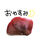 私の可愛い娘達です！！！！（個別スタンプ：4）