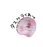 私の可愛い娘達です！！！！（個別スタンプ：8）