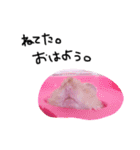 私の可愛い娘達です！！！！（個別スタンプ：9）