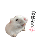 私の可愛い娘達です！！！！（個別スタンプ：18）