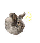 私の可愛い娘達です！！！！（個別スタンプ：23）
