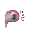 私の可愛い娘達です！！！！（個別スタンプ：27）