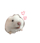 私の可愛い娘達です！！！！（個別スタンプ：28）