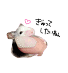 私の可愛い娘達です！！！！（個別スタンプ：35）