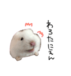 私の可愛い娘達です！！！！（個別スタンプ：36）