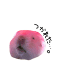 私の可愛い娘達です！！！！（個別スタンプ：37）