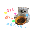 チンチラシルバーの双子ちゃん（個別スタンプ：4）