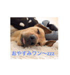 むぎちゃんスタンプ！！（個別スタンプ：2）