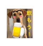 むぎちゃんスタンプ！！（個別スタンプ：14）