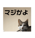 今泉家の家族集合（個別スタンプ：3）