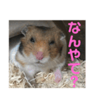 今泉家の家族集合（個別スタンプ：10）