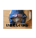 まろきんぐ（個別スタンプ：6）