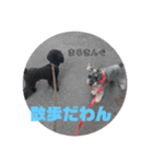 まろきんぐ2（個別スタンプ：8）