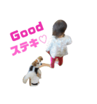 幸せパピヨン犬、ハナちゃんとナナちゃん♡（個別スタンプ：29）