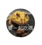 寵物戀（個別スタンプ：7）