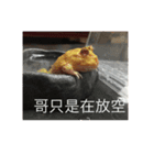 寵物戀（個別スタンプ：9）