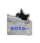 ゾロリスタンプ（個別スタンプ：1）