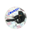 ゾロリスタンプ（個別スタンプ：6）