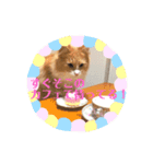 ルイレオリラ（個別スタンプ：8）