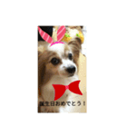 チロモコ1（個別スタンプ：9）