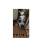 チロモコ1（個別スタンプ：13）