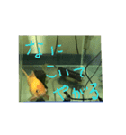 ふな goldfish（個別スタンプ：2）