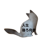 ネコのつぶやき(アメショー・ラグドール)（個別スタンプ：3）