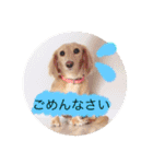 カニンヘンダックスのララちゃん〜日常編〜（個別スタンプ：4）