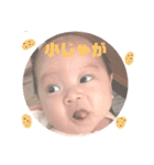 ベビリリちゃん（個別スタンプ：37）