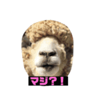 zoo U・x・U 動物たちの声（個別スタンプ：1）