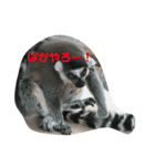 zoo U・x・U 動物たちの声（個別スタンプ：4）