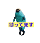 zoo U・x・U 動物たちの声（個別スタンプ：9）