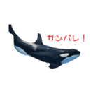 zoo U・x・U 動物たちの声（個別スタンプ：13）