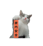 まねき猫・義太夫（個別スタンプ：3）