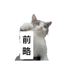 まねき猫・義太夫（個別スタンプ：11）