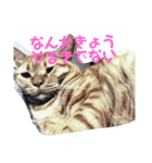 金原家の日常（個別スタンプ：5）
