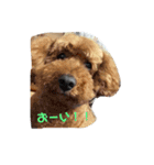 金原家の日常（個別スタンプ：6）