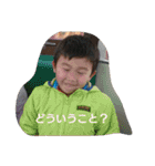 ほんわかファミリー（個別スタンプ：31）