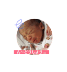 家族限定！葵スタンプ！！！！（個別スタンプ：5）