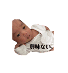 家族限定！葵スタンプ！！！！（個別スタンプ：6）
