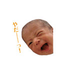 家族限定！葵スタンプ！！！！（個別スタンプ：16）