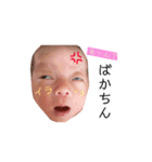 家族限定！葵スタンプ！！！！（個別スタンプ：37）