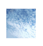 小さな空（個別スタンプ：16）