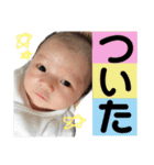 蒼心スタンプ（個別スタンプ：13）