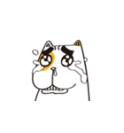短ちゃん（個別スタンプ：3）