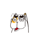 短ちゃん（個別スタンプ：22）
