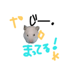 チワワのキララくん とハムスター達（個別スタンプ：32）