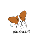 ふわふわパピヨン！シナモンです（個別スタンプ：8）