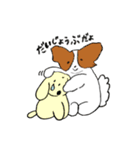 ふわふわパピヨン！シナモンです（個別スタンプ：10）