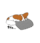 ふわふわパピヨン！シナモンです（個別スタンプ：11）